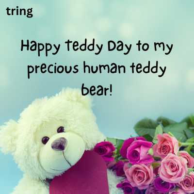 Short Teddy Day Quotes Husband