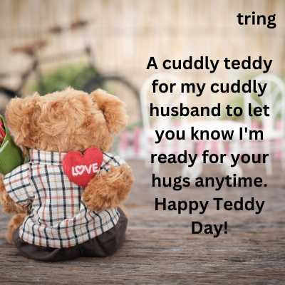 Greeting Card Teddy Day Quotes for Husband