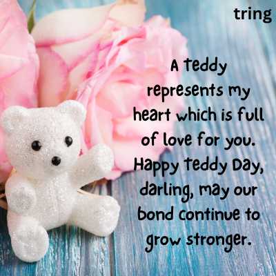 Romantic Teddy Day Quotes For Girlfriend