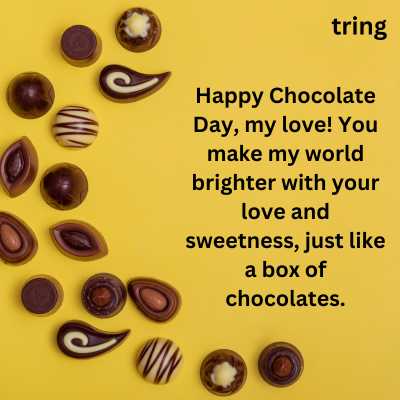 Chocolate Day Wishes for Girlfriend