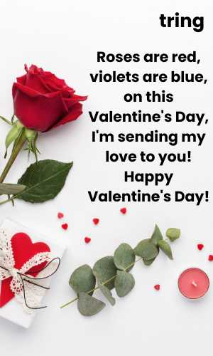 Valentines day Greeting Cards (3)