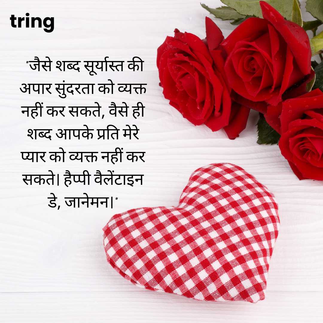 Valentine's Day Messages in Hindi