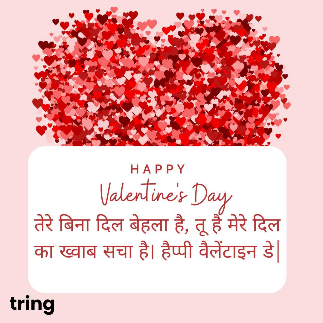 Valentine's Day Shayari in Hindi