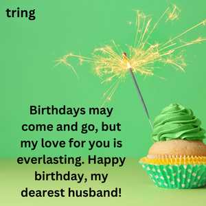 Romantic Birthday Wishes For Husband (9)