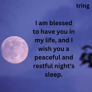 Good Night Blessing Wishes (1)