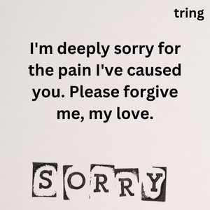 Sorry Message For Girlfriend (3)