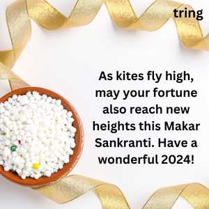 Makar Sankranti Wishes (6)