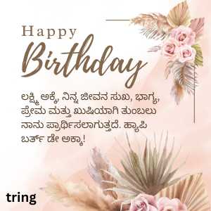 Birthday Wishes For Akka (5)