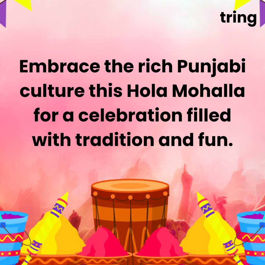 Punjabi culture Hola Mohalla scene.