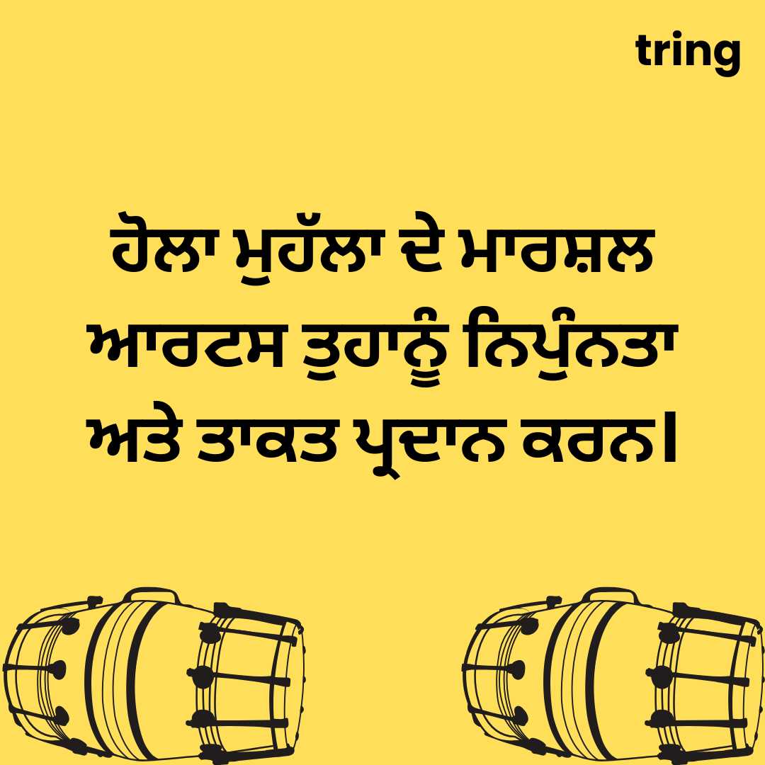 ਰਵਾਇਤੀ ਮਾਰਸ਼ਲ ਆਰਟਸ ਹੋਲਾ ਮੁਹੱਲਾ ਪੰਜਾਬ ਫੋਟੋ