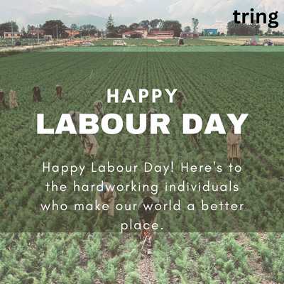 Happy Labour Day! Here's to the hardworking individuals who make our world a better place.