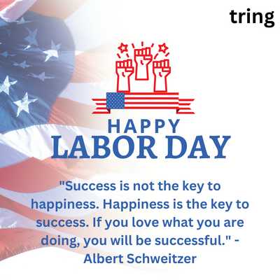 "Success is not the key to happiness. Happiness is the key to success. If you love what you are doing, you will be successful." - Albert Schweitzer