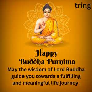 May the wisdom of Lord Buddha guide you towards a fulfilling and meaningful life journey.