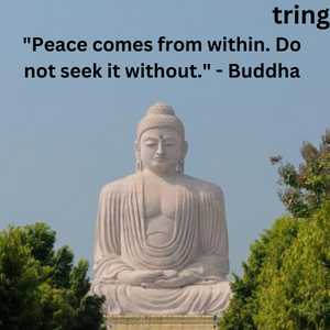 "Peace comes from within. Do not seek it without." - Buddha