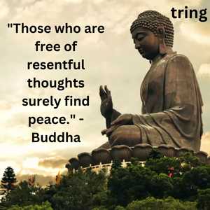 "Those who are free of resentful thoughts surely find peace." - Buddha