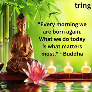 "Every morning we are born again. What we do today is what matters most." - Buddha