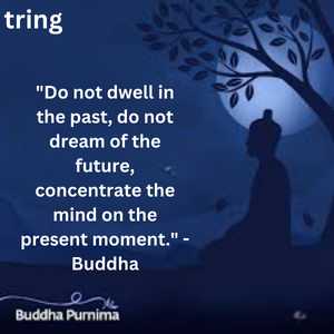 "Do not dwell in the past, do not dream of the future, concentrate the mind on the present moment." - Buddha