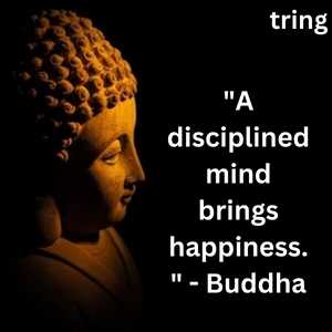 "A disciplined mind brings happiness." - Buddha