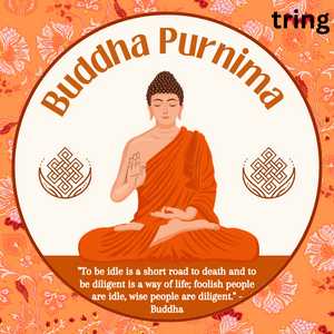 "To be idle is a short road to death and to be diligent is a way of life; foolish people are idle, wise people are diligent." - Buddha