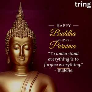"To understand everything is to forgive everything." - Buddha