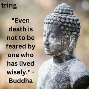 "Even death is not to be feared by one who has lived wisely." - Buddha