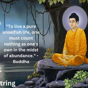 "To live a pure unselfish life, one must count nothing as one's own in the midst of abundance." - Buddha
