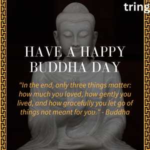 "In the end, only three things matter: how much you loved, how gently you lived, and how gracefully you let go of things not meant for you." - Buddha