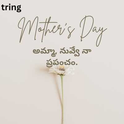 Short Mother’s Day Quotes in Telugu