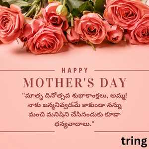 Mothers Day Wishes In Telugu (1)