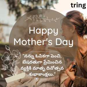 Mothers Day Wishes In Telugu (10)