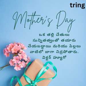 Mothers Day Quotes In Telugu (3)