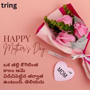 Mothers Day Quotes In Telugu (5)