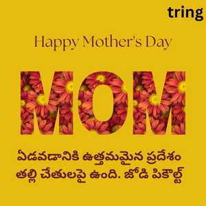 Mothers Day Quotes In Telugu (7)