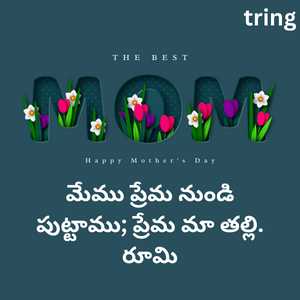 Mothers Day Quotes In Telugu (2)