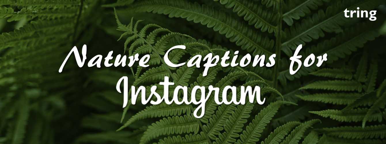 Nature Captions for Instagram