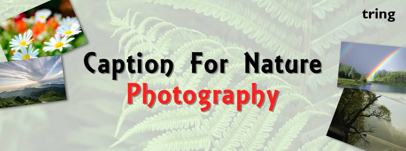 Caption For Nature Photography