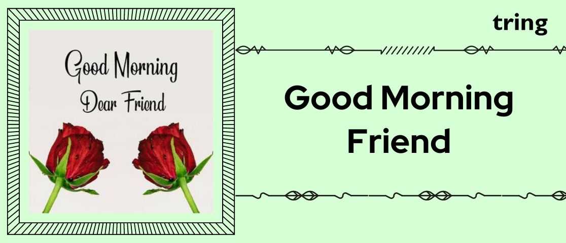 good morning friend