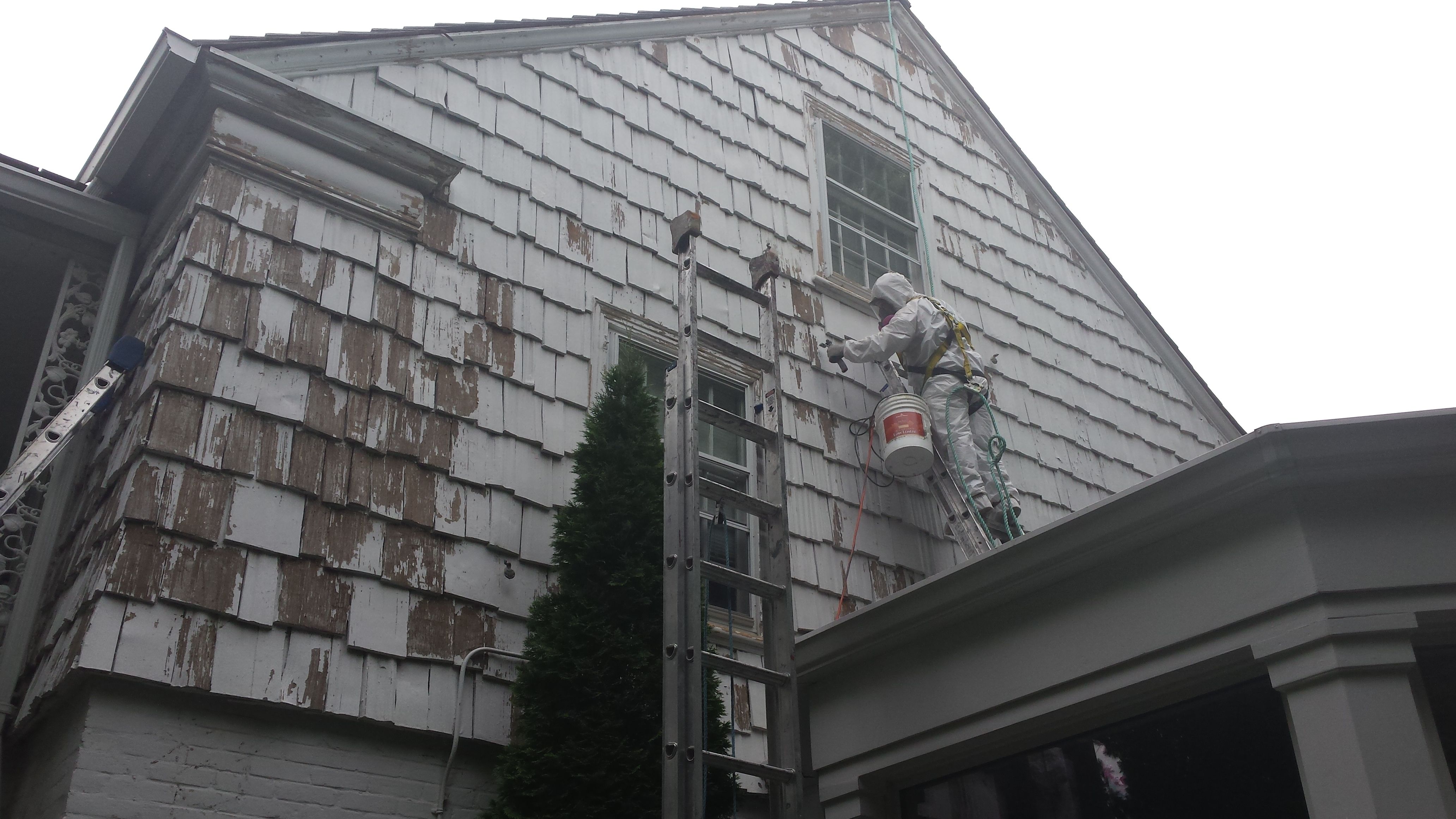 Paint Restoration