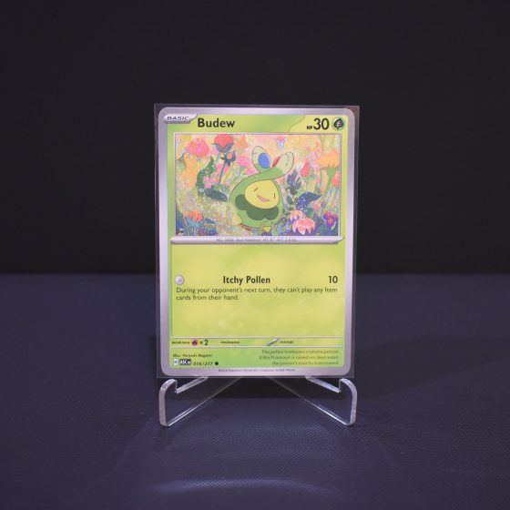 Budew, 016/217, Ascended Heroes (ASC), Common (C), Kartu Pokemon, [#1]