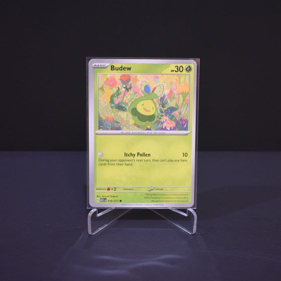 Budew, 016/217, Ascended Heroes (ASC), Common (C), Kartu Pokemon, [#2]