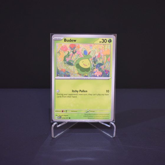 Budew, 016/217, Ascended Heroes (ASC), Common (C), Kartu Pokemon, [#3]