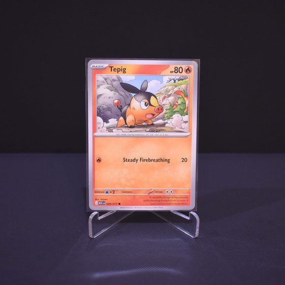 Tepig, 029/217, Ascended Heroes (ASC), Common (C), Kartu Pokemon, [#2]