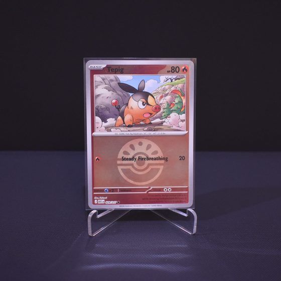 Tepig (Friend Ball), 029/217, Ascended Heroes (ASC), Reverse Holo (RH), Kartu Pokemon, [#3]