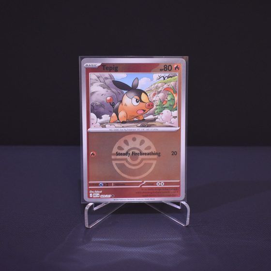 Tepig (Friend Ball), 029/217, Ascended Heroes (ASC), Reverse Holo (RH), Kartu Pokemon, [#4]
