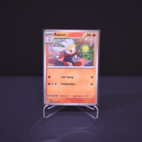 Raboot, 037/217, Ascended Heroes (ASC), Common (C), Kartu Pokemon, [#1]