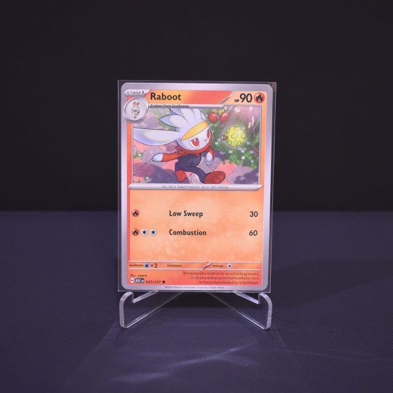 Raboot, 037/217, Ascended Heroes (ASC), Common (C), Kartu Pokemon, [#2]