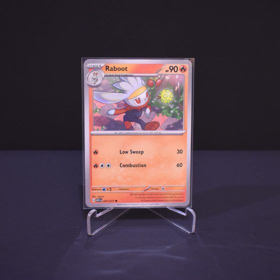 Raboot, 037/217, Ascended Heroes (ASC), Common (C), Kartu Pokemon, [#3]