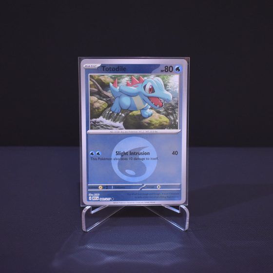 Totodile (Energy Symbol Pattern), 041/217, Ascended Heroes (ASC), Reverse Holo (RH), Kartu Pokemon, [#2]