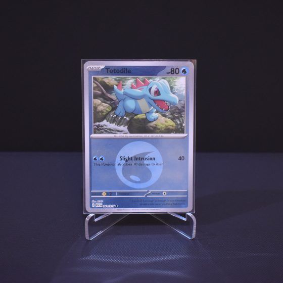 Totodile (Energy Symbol Pattern), 041/217, Ascended Heroes (ASC), Reverse Holo (RH), Kartu Pokemon, [#3]