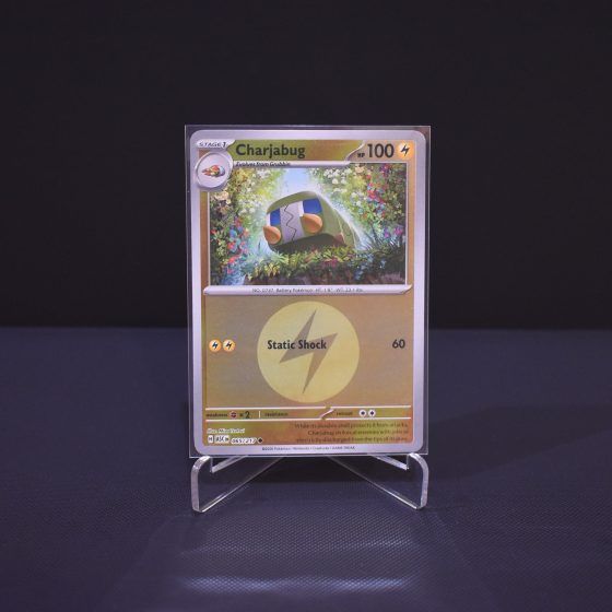Charjabug (Energy Symbol Pattern), 065/217, Ascended Heroes (ASC), Reverse Holo (RH), Kartu Pokemon, [#1]